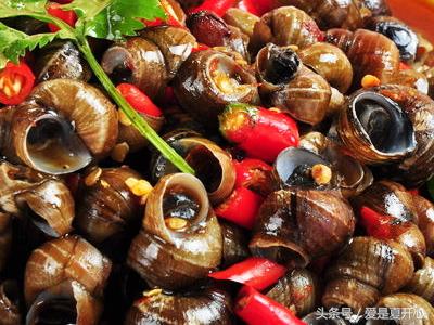 麻辣小海鲜最好卖的有几种海鲜,各种麻辣小海鲜视频
