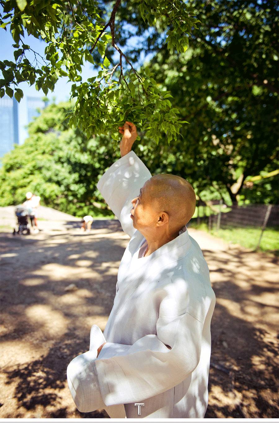 跟随站在世界素食料理之巅的静观师太,来一次曼哈顿素食修行之旅