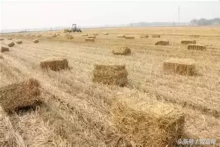 秸秆变煤炭,秸秆变能源