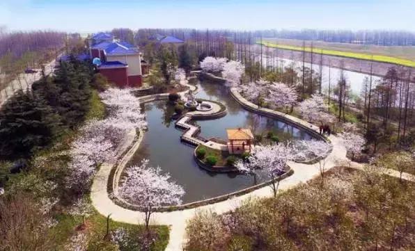 湖北最美二十个景点推荐,湖北哪个风景区最好玩