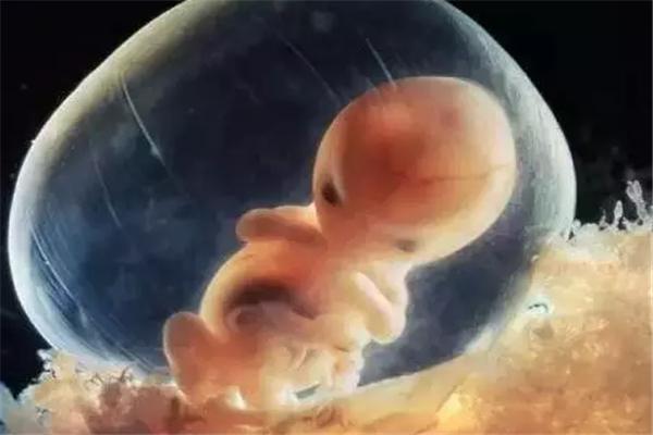 选择试管婴儿的好处有哪些,试管婴儿挑选的胚胎优于自然受孕