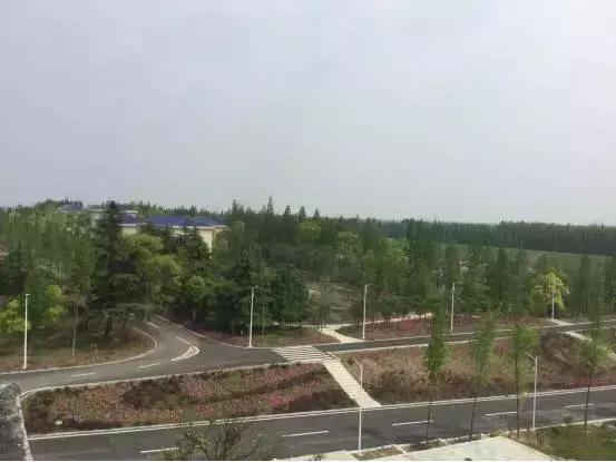 湖北最美二十个景点推荐,湖北哪个风景区最好玩