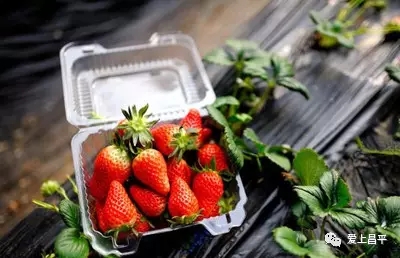 我们是谁原版,我们是谁完整版