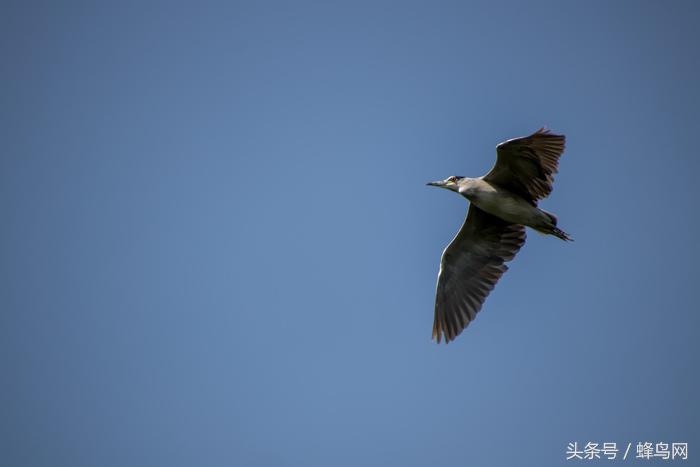 腾龙2.8恒定变焦镜头,大变焦镜头腾龙18-400怎样