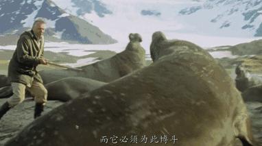 豆瓣9.7的冷门好片，送给每个热爱生命的人