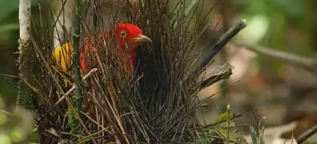 豆瓣9.7的冷门好片，送给每个热爱生命的人