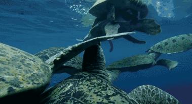 豆瓣9.7的冷门好片，送给每个热爱生命的人