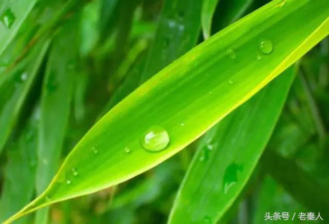 手足癣不疼不痒怎么治,手足癣不可以吃什么水果