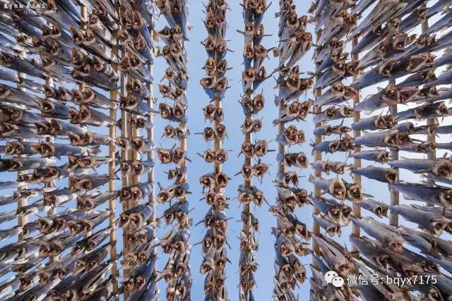 梦幻天堂挪威十四天自驾大穿越,挪威小环线自驾游