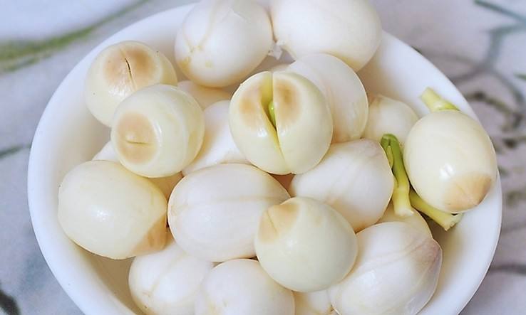 脑袋笨记性差吃什么药,脑子笨吃点什么可以补脑