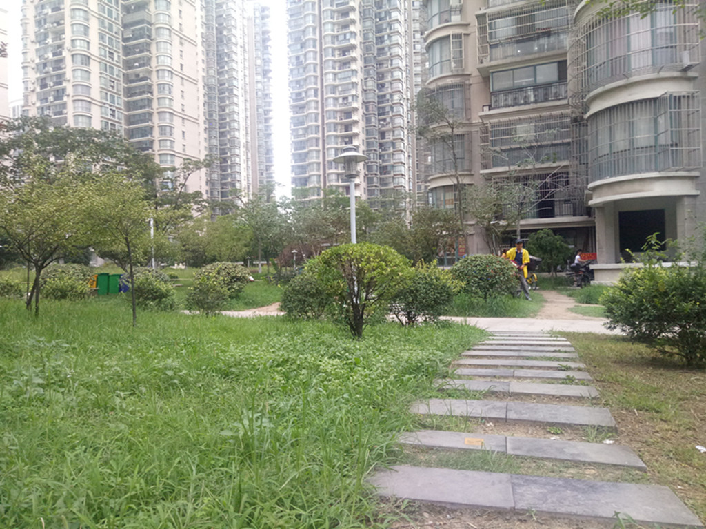 魅族手机拍照差,魅族17的拍照为啥很差