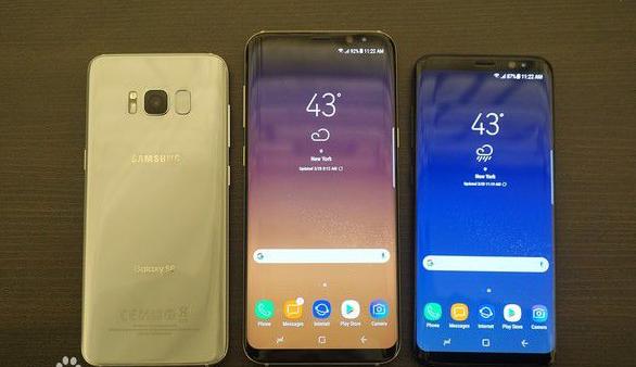 网友闲鱼1000捡漏入手的三星S8，刚上手乐开怀，用半天懵逼