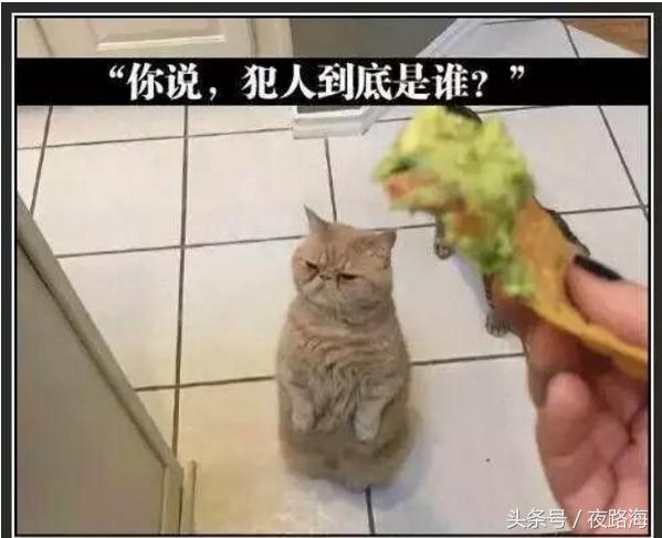 每日小笑话段子,每日小段子大全