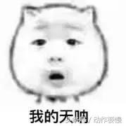 变形计韩安冉张瀚文完整视频,变形计韩安冉与继父争吵观察记录