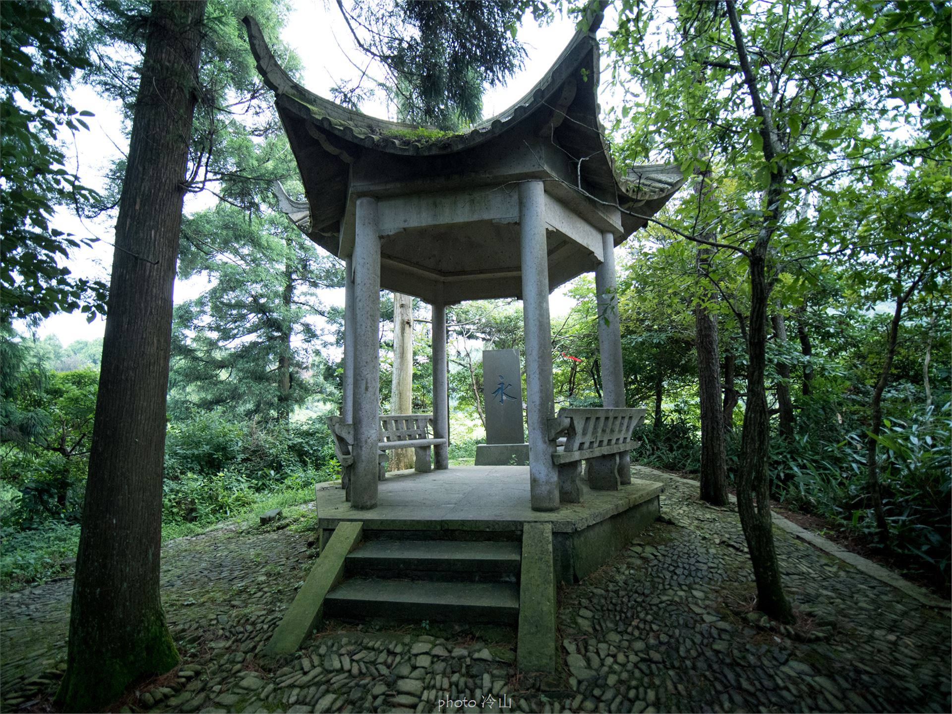 华顶千年杜鹃林,天台山石梁瀑布华顶杜鹃