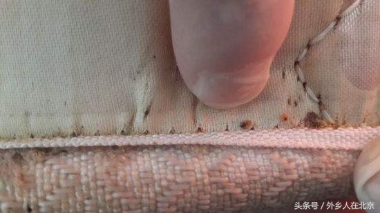 新房入住后有很小很小的虫子,新租的房子有特别小的虫子