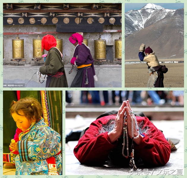 如何选择凤眼菩提,凤眼菩提如何选择