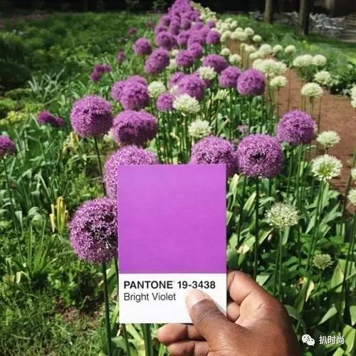 pantone潘通灰色号,pantone潘通色怎么查色值