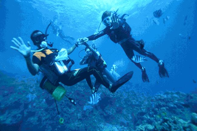 帕劳百悦旅行社,百悦旅游