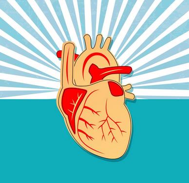 心肌炎会彻底的好吗,心肌炎是什么病能彻底治好吗