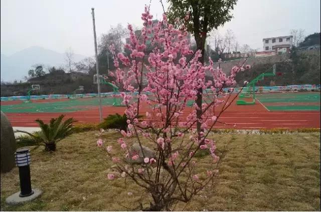 贵州最厉害的十所学校,贵州厉害了