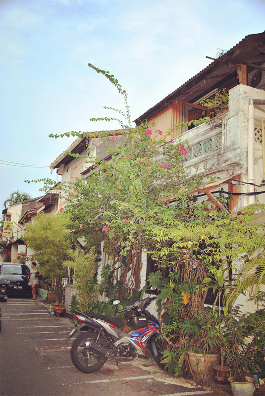 马来西亚沙巴旅游体验感,风下之乡什么意思