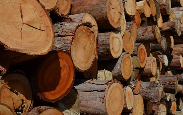 睡了那么久的床，你知道木头和金属有啥区别吗？-王氏教育集团