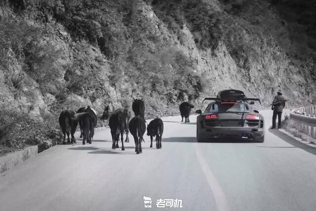 开辆超跑去*藏西**！最后看看几百万的奥迪R8破成啥样了？