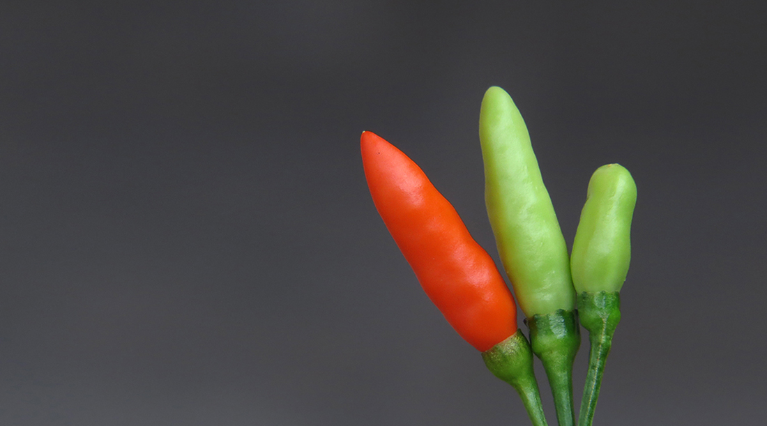 最好的十种辣椒,全球130种辣椒排名