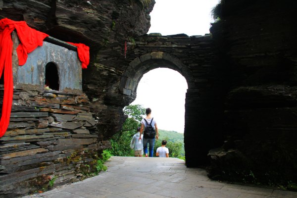天天有人去山上采蘑菇,每天来观看的游客上万人