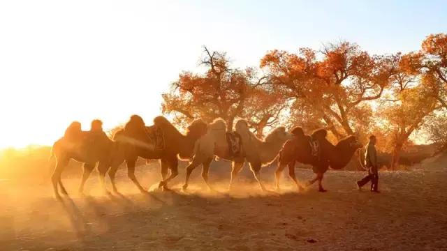 三千年的情缘,三千年的企盼只为这一季的金秋(附攻略)