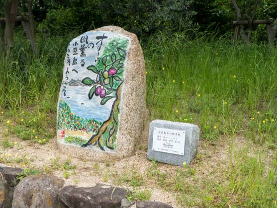 濑户——喜欢你那一抹蓝色光芒（上）