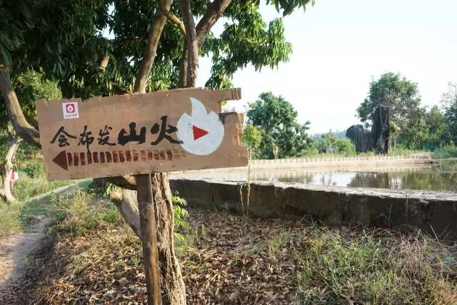 火山小视频为何要去村里办一场互联网史上最土的发布会?