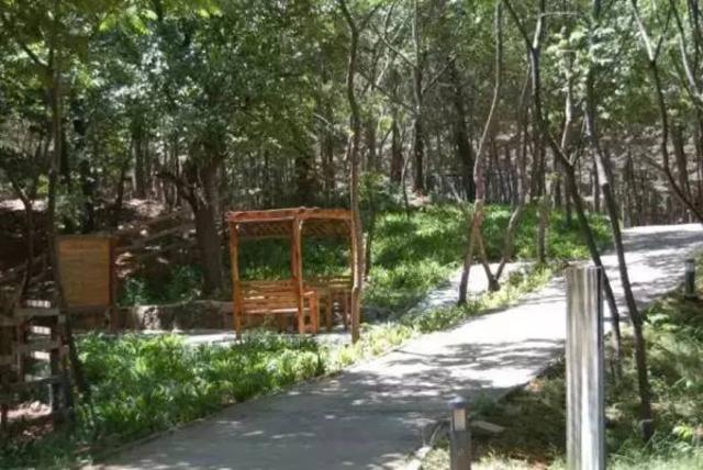 只是去个公园,却翻了几座山!