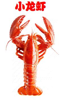 最好吃的披萨餐厅,这家餐厅的空间设计真让人上瘾