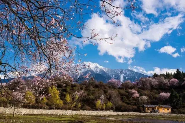 西藏自驾旅游藏语音乐,西藏自驾藏语