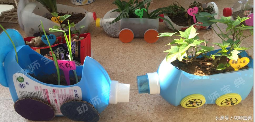 自然角创设分布图,自然角布置幼儿园