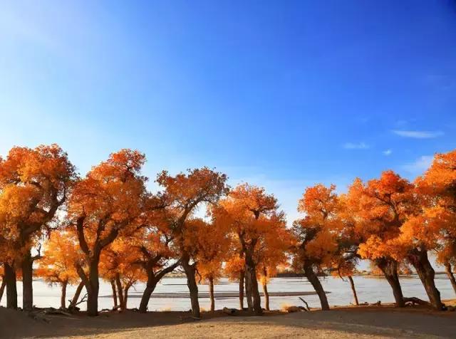 三千年的情缘,三千年的企盼只为这一季的金秋(附攻略)