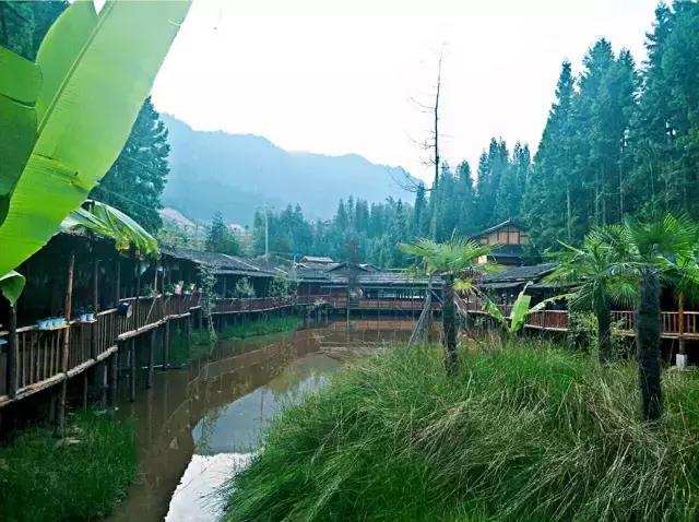 南宝山免费露营耍水,南宝山林海营地有什么耍的