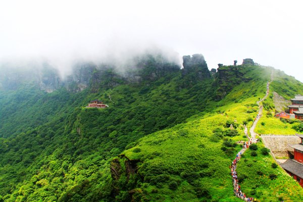 天天有人去山上采蘑菇,每天来观看的游客上万人