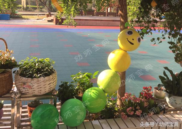 自然角创设分布图,自然角布置幼儿园