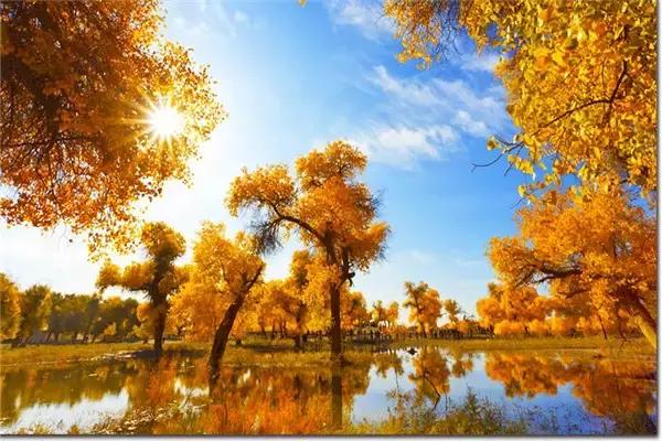 三千年的情缘,三千年的企盼只为这一季的金秋(附攻略)