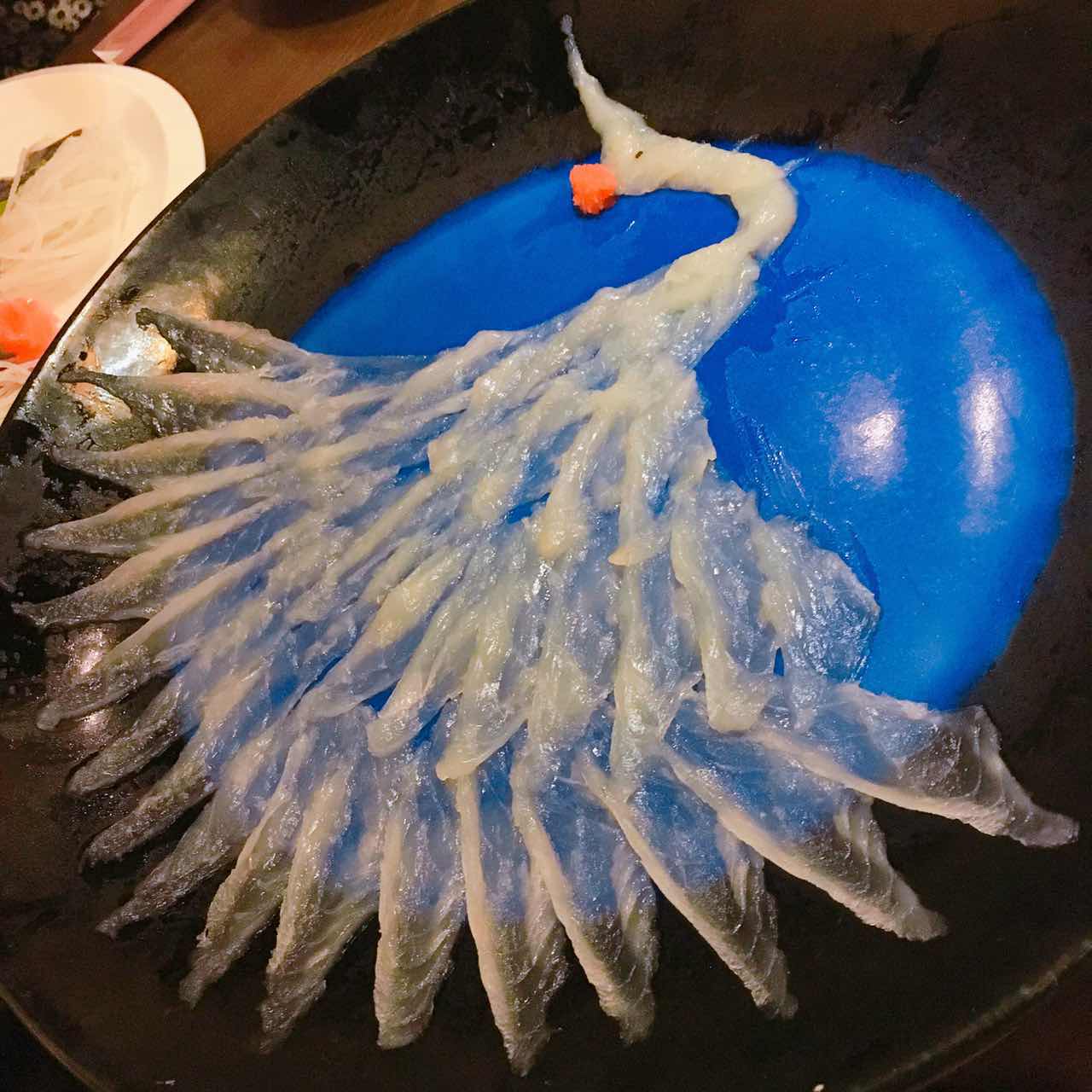 天正河豚,天正河豚广东