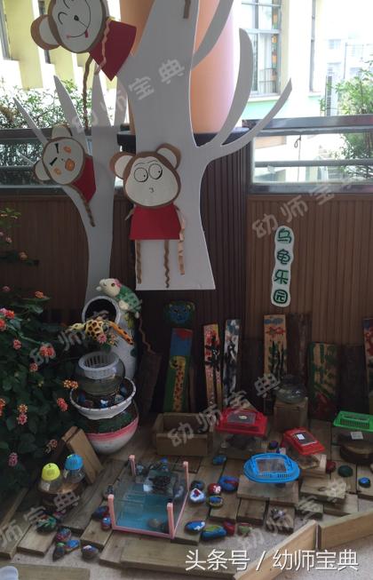 自然角创设分布图,自然角布置幼儿园
