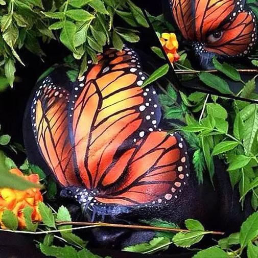 这才是艺术视觉效果,这才是真正的艺术美