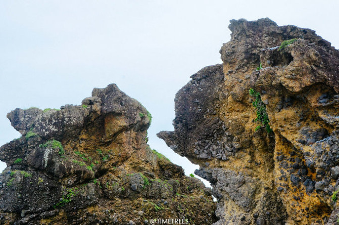 到台东旅游有哪些必去的景点,台东海岸线景点有哪些