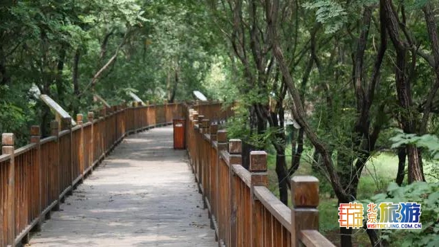 京城最大郊野公园，不仅免费，还藏了好多不为人知的秘密！