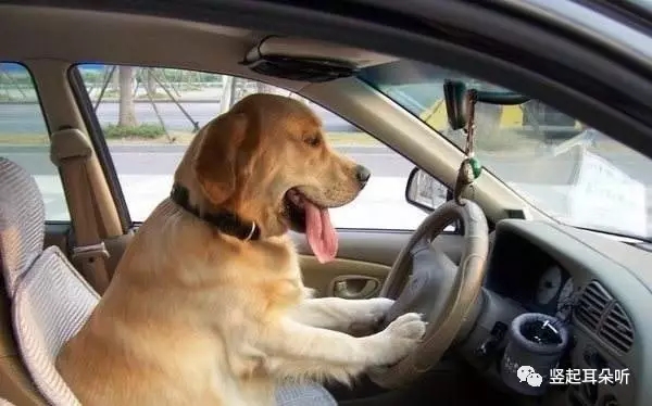 为什么每年大一新生要参加军训,刚入学的大学生为什么要军训