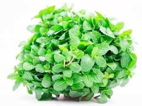 野菜对身体有什么好处,10种野菜的惊人功效