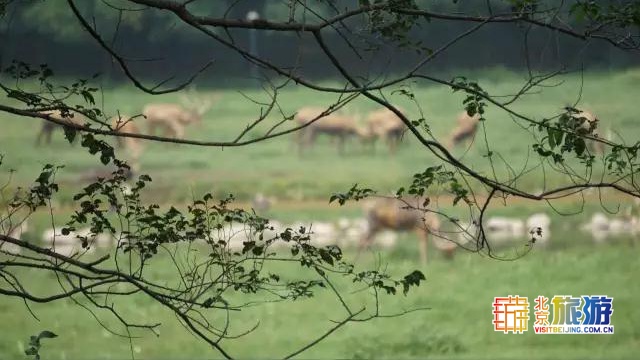 京城最大郊野公园，不仅免费，还藏了好多不为人知的秘密！